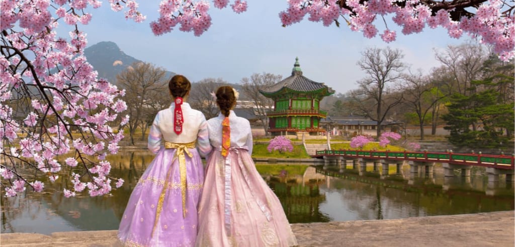 韓国留学
