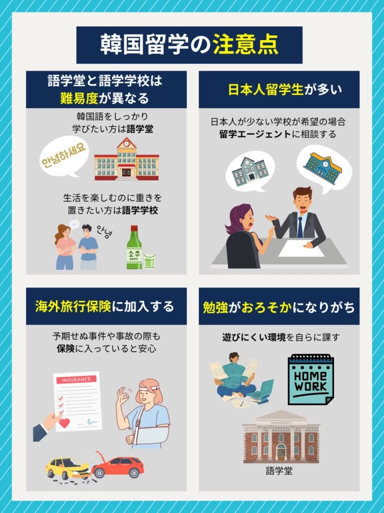 韓国留学の注意点を図解したインフォグラフィック(語学堂と語学学校の難易度差・日本人留学生の多さ・海外旅行保険加入・勉強がおろそかになるリスク)