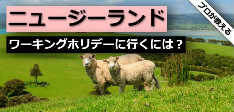 ニュージーランド ワーキングホリデー