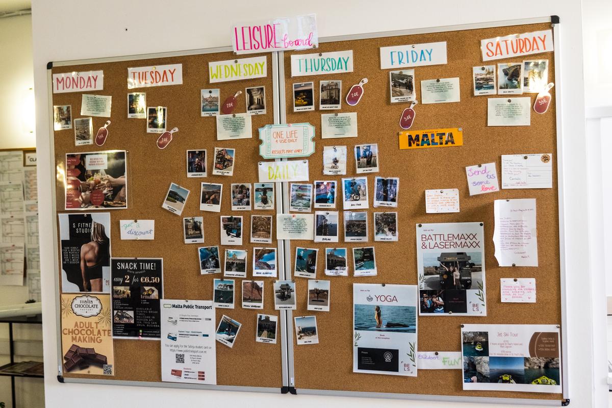 BELS Malta のアクティビティ掲示板